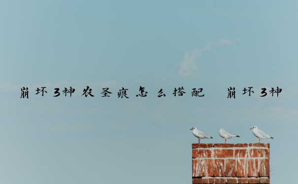 崩坏3神农圣痕怎么搭配　崩坏3神农圣痕怎么搭配的