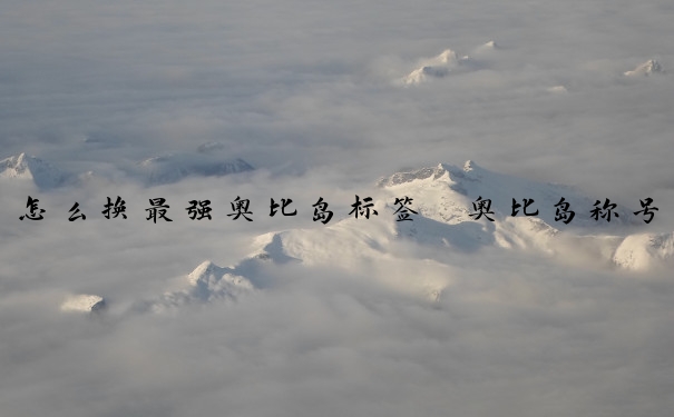 怎么换最强奥比岛标签　奥比岛称号
