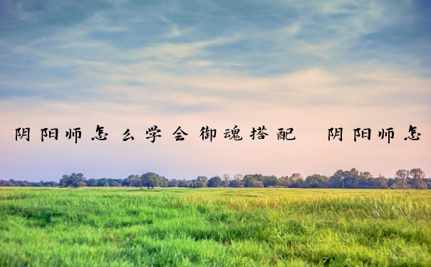 阴阳师怎么学会御魂搭配　阴阳师怎么学会御魂搭配技能