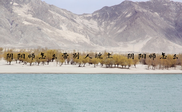 阴阳师怎么带别人魂土　阴阳师怎么带别人魂土技能