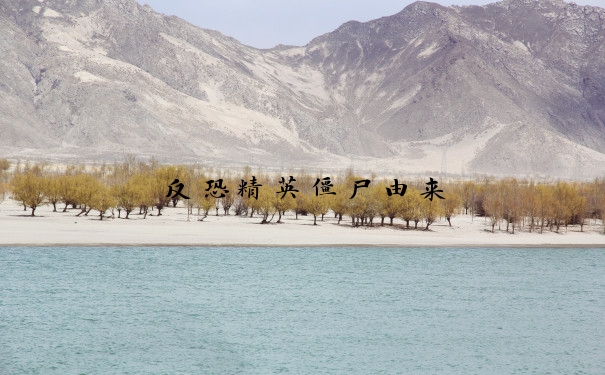 反恐精英僵尸由来