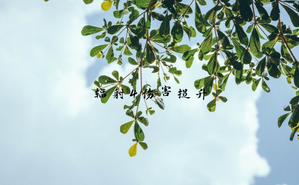 辐射4伤害提升