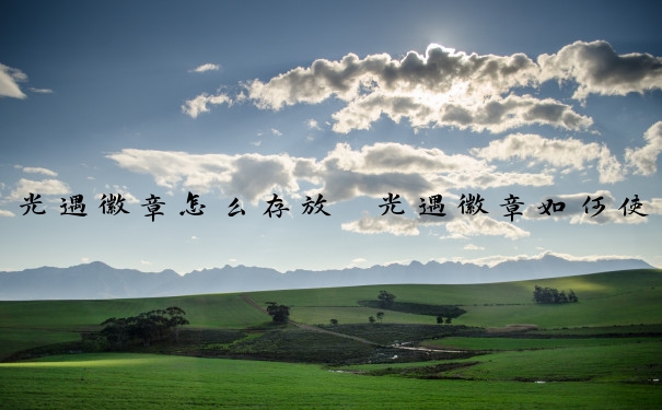 光遇徽章怎么存放　光遇徽章如何使用