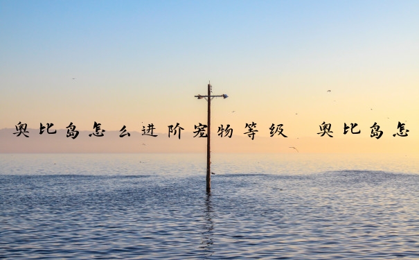 奥比岛怎么进阶宠物等级　奥比岛怎么进阶宠物等级的