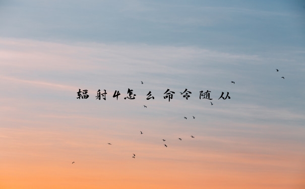 辐射4怎么命令随从