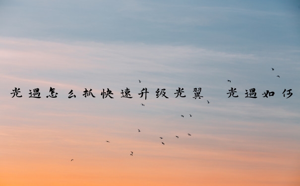 光遇怎么抓快速升级光翼　光遇如何快速升级光翼