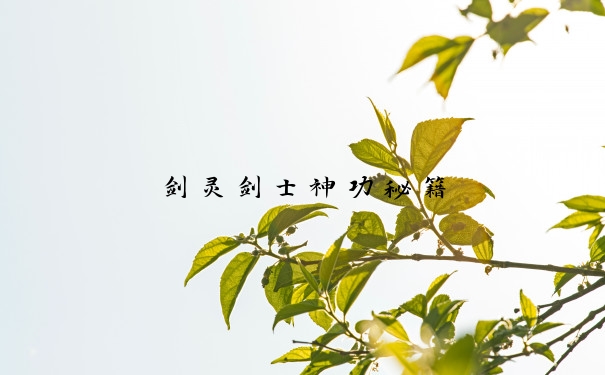 剑灵剑士神功秘籍