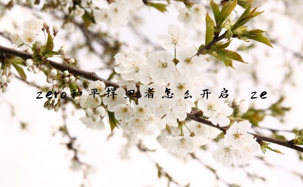 zero和平捍卫者怎么开启　zero和平捍卫者怎么用