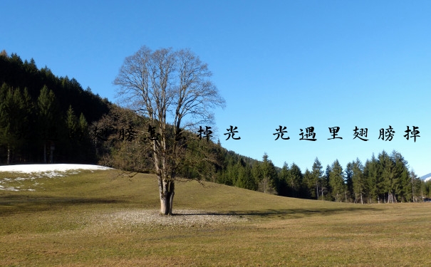 光遇的翅膀怎么掉光　光遇里翅膀掉光怎么恢复