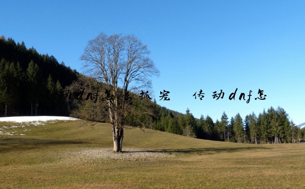 传动dnf怎么抓宠　传动dnf怎么抓宠物装备