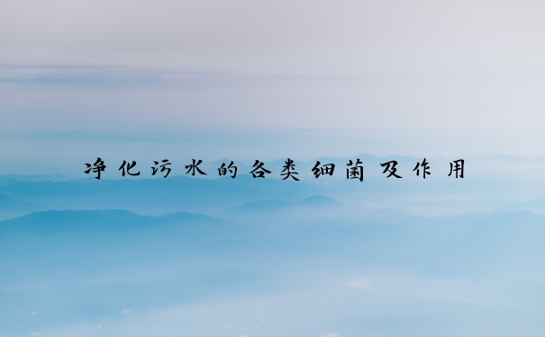 净化污水的各类细菌及作用