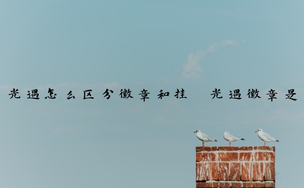 光遇怎么区分徽章和挂　光遇徽章是挂吗