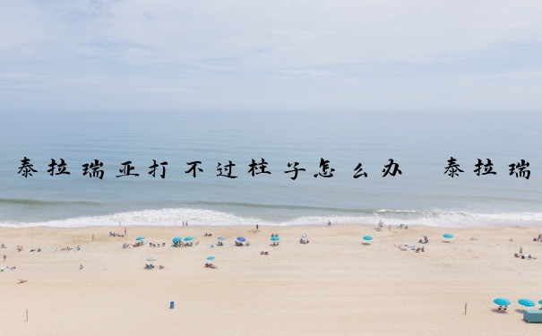 泰拉瑞亚打不过柱子怎么办　泰拉瑞亚打柱子的顺序