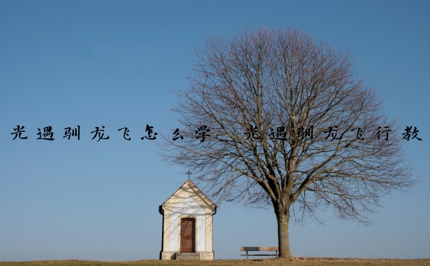 光遇驯龙飞怎么学　光遇驯龙飞行教程