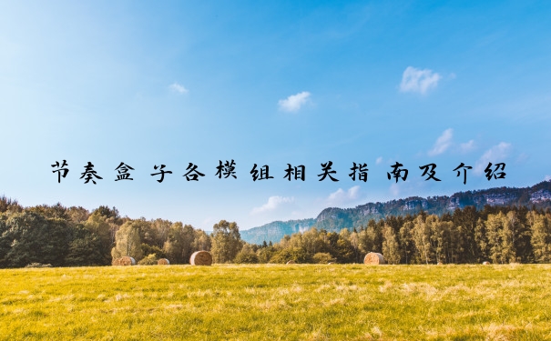 节奏盒子各模组相关指南及介绍