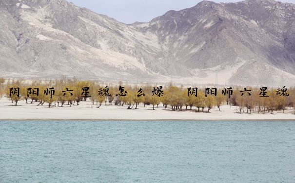阴阳师六星魂怎么爆　阴阳师六星魂怎么爆星