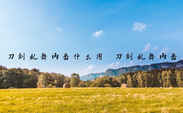 刀剑乱舞内番什么用 刀剑乱舞内番是什么