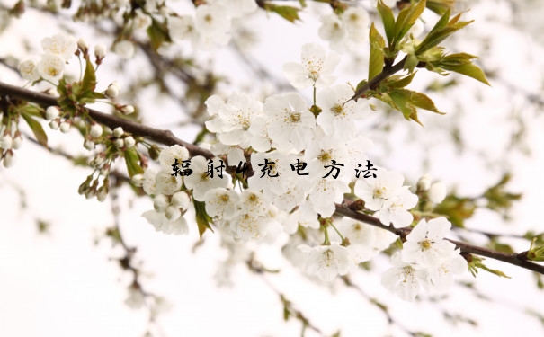 辐射4充电方法