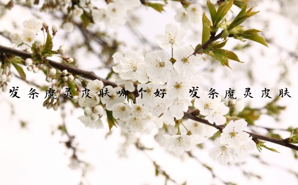 发条魔灵皮肤哪个好　发条魔灵皮肤哪个好看