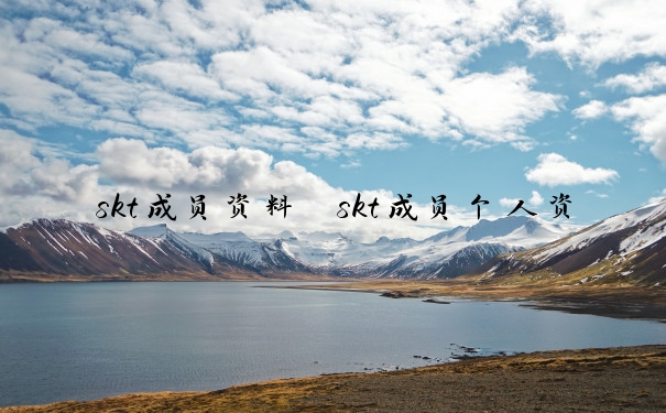 skt成员资料　skt成员个人资料