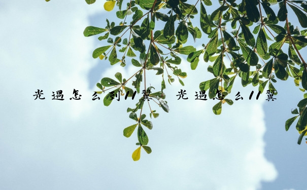 光遇怎么到11翼　光遇怎么11翼国服