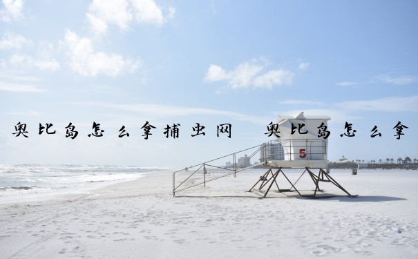 奥比岛怎么拿捕虫网　奥比岛怎么拿捕虫网的