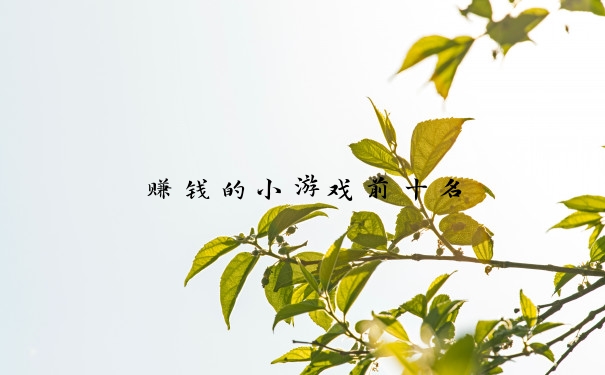 赚钱的小游戏前十名