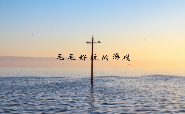 毛毛好玩的游戏
