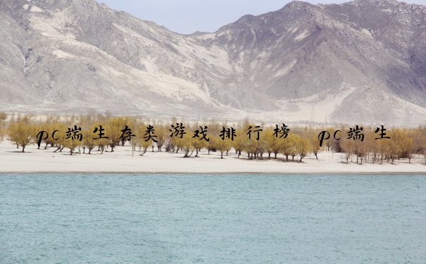 pc端生存类游戏排行榜　pc端生存类游戏排行榜前十名
