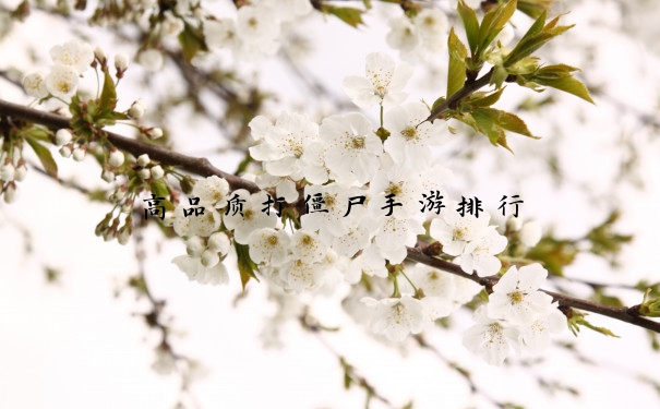 高品质打僵尸手游排行