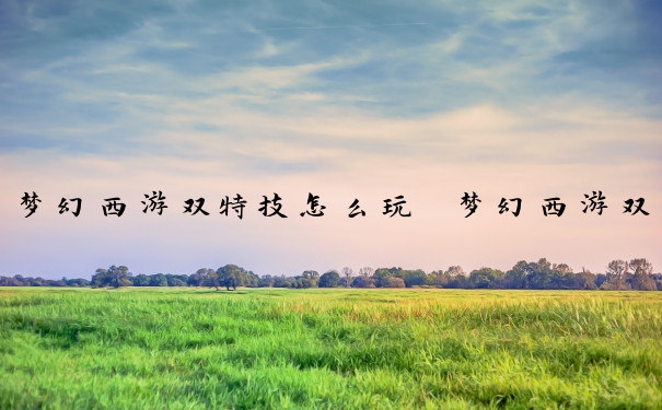 梦幻西游双特技怎么玩　梦幻西游双特技怎么玩的