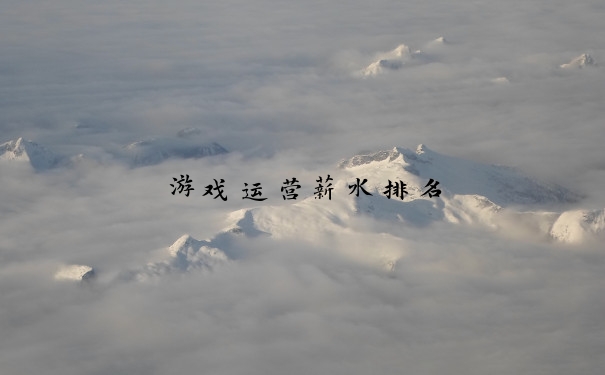 游戏运营薪水排名