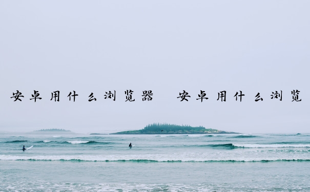 安卓用什么浏览器　安卓用什么浏览器可以不屏蔽 你懂得