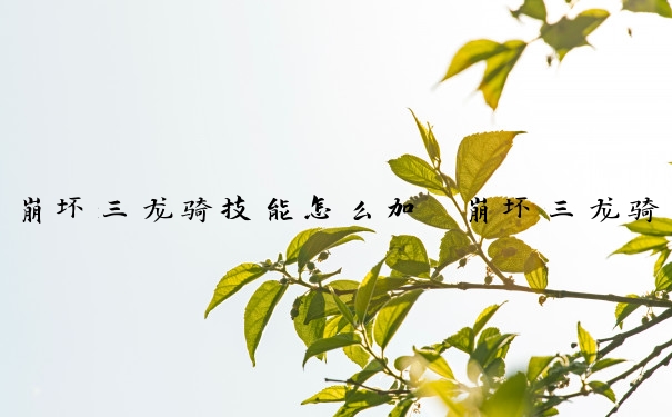 崩坏三龙骑技能怎么加　崩坏三龙骑技能怎么加点