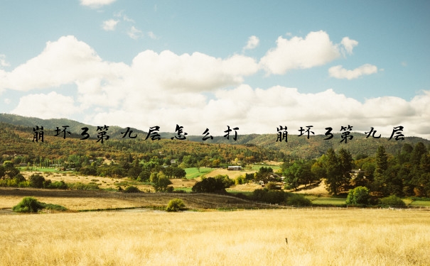 崩坏3第九层怎么打　崩坏3第九层怎么打的