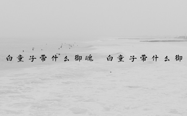 白童子带什么御魂　白童子带什么御魂好