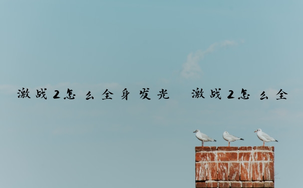 激战2怎么全身发光　激战2怎么全身发光的
