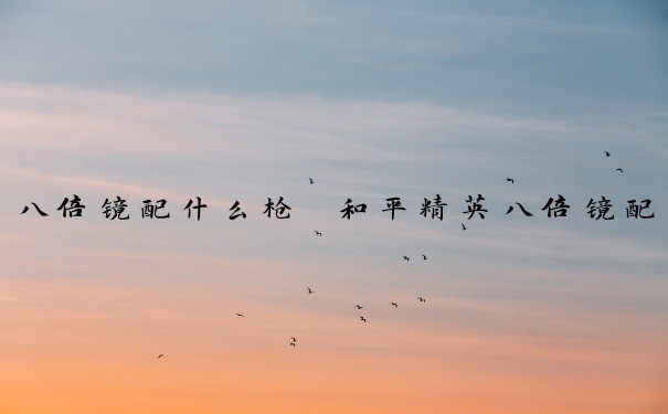 八倍镜配什么枪　和平精英八倍镜配什么枪