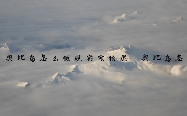奥比岛怎么做现实宠物屋　奥比岛怎么做现实宠物屋教程