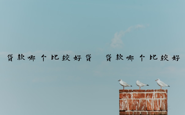 贷款哪个比较好贷　贷款哪个比较好贷一点