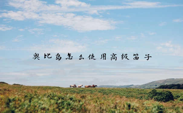 奥比岛怎么使用高级笛子