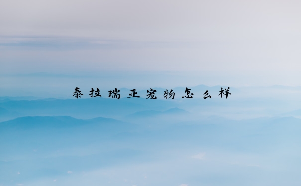 泰拉瑞亚宠物怎么样