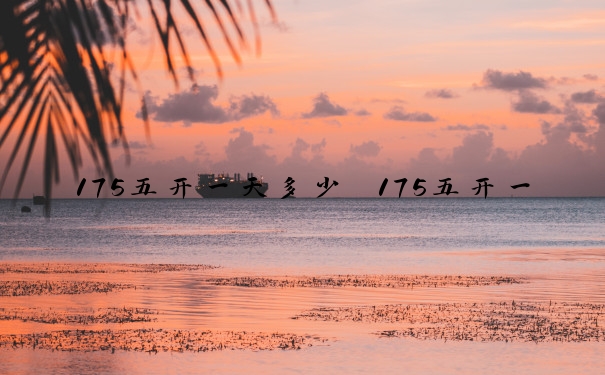 175五开一天多少　175五开一天多少金币