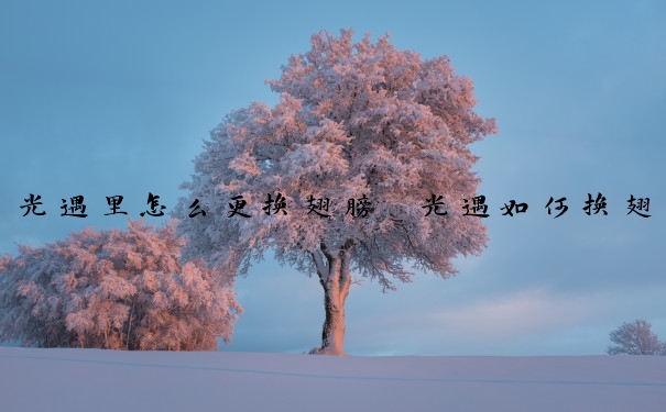 光遇里怎么更换翅膀　光遇如何换翅膀
