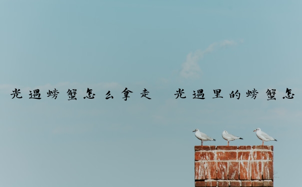 光遇螃蟹怎么拿走　光遇里的螃蟹怎么拿起来