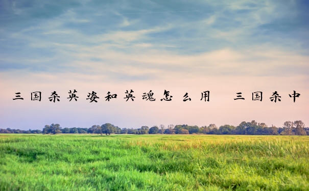 三国杀英姿和英魂怎么用　三国杀中技能英姿和英魂的技能介绍