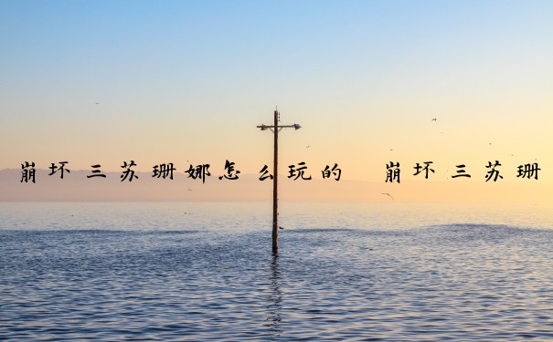 崩坏三苏珊娜怎么玩的　崩坏三苏珊娜怎么玩的好