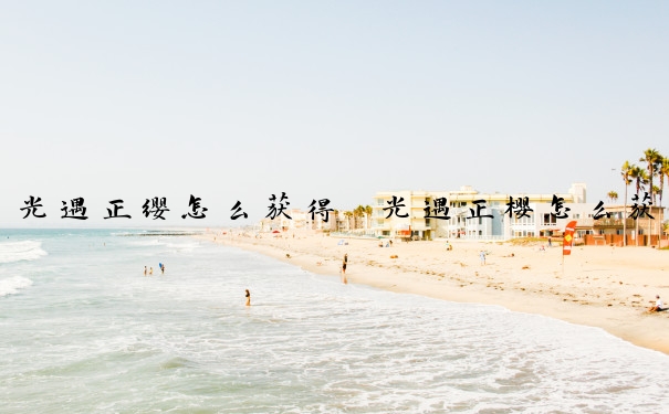 光遇正缨怎么获得　光遇正樱怎么获得