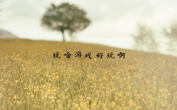玩啥游戏好玩啊