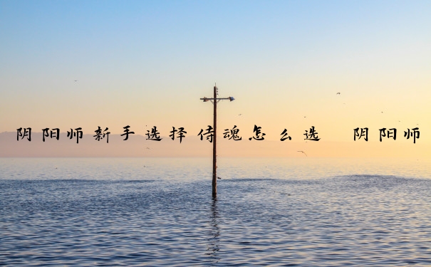 阴阳师新手选择侍魂怎么选　阴阳师新手选择侍魂怎么选择